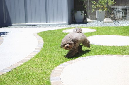 3分でわかる 後悔しない犬用フェンスの選び方 お家で安心 安全に放し飼いをする庭づくりのポイント お庭 エクステリアのcercle セルクル 鈴鹿市 四日市市