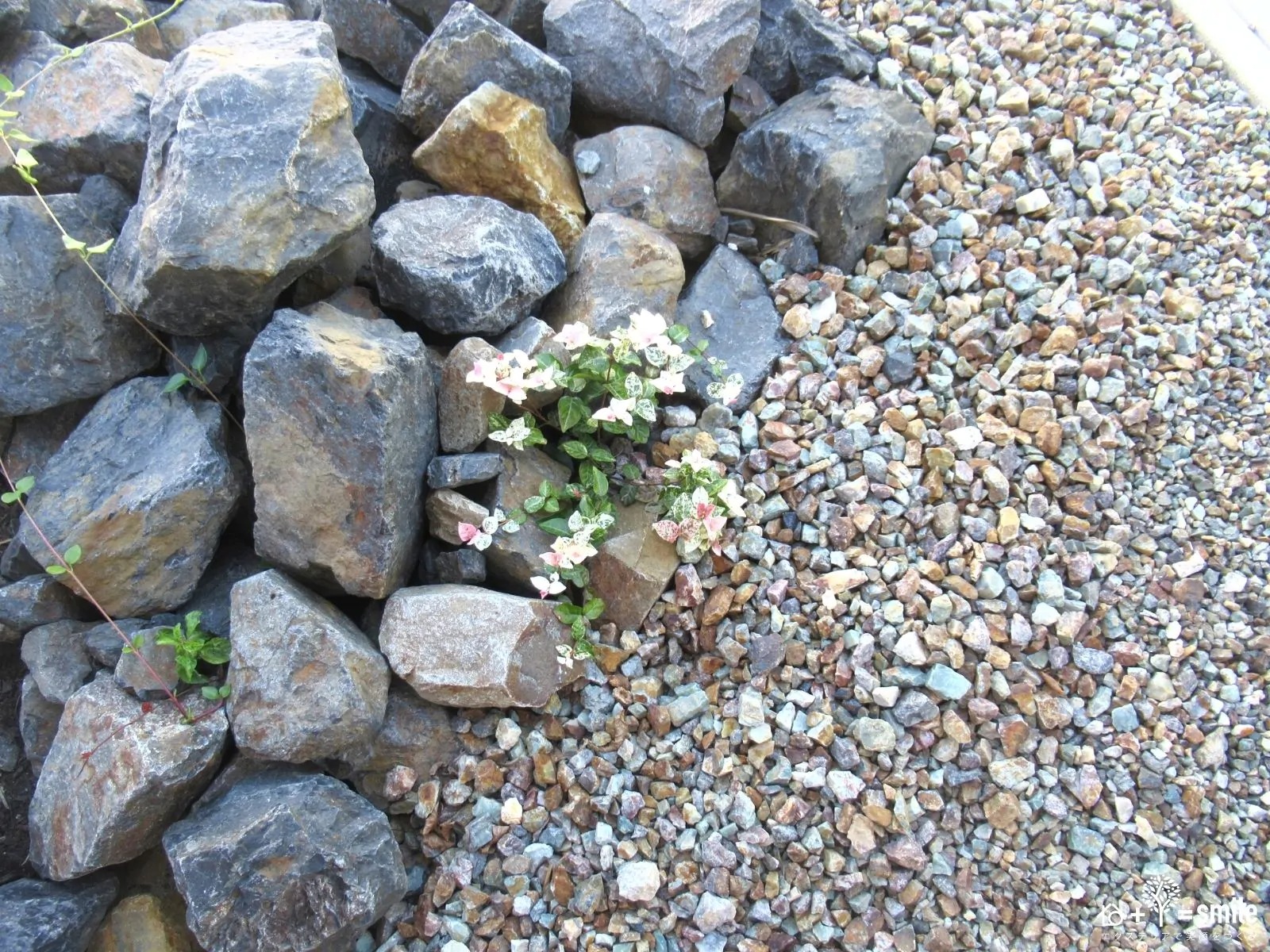 施工事例の写真